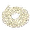 Electroplate Transparent Glass Beads Strands X1-GLAA-H021-01B-FR04-4