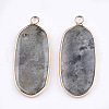 Natural Labradorite Pendants X-G-T112-23A-2