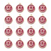 Golden Plated Alloy Enamel Charms ENAM-S118-08U-2