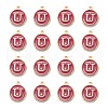 Golden Plated Alloy Enamel Charms ENAM-S118-08U-2