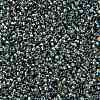 TOHO Round Seed Beads X-SEED-TR15-0995-2
