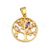 Brass Micro Pave Colorful Cubic Zirconia Pendants ZIRC-A021-27G-1