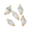 Flower Acrylic Charms PALLOY-JF03588-11-1