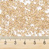 MIYUKI Round Rocailles Beads X-SEED-G007-RR1003-4