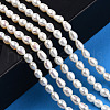 Natural Cultured Freshwater Pearl Beads Strands PEAR-N012-04G-6