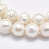 Natural Cultured Freshwater Pearl Beads Strands PEAR-F007-01-3