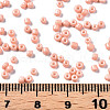 Glass Seed Beads SEED-S060-A-F414-5