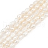 Natural Cultured Freshwater Pearl Beads Strands PEAR-P064-20E-05A-2
