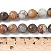 Natural Mexican Lace Agate Beads Strands G-E578-02C-01-2