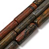 Natural Polychrome Jasper/Picasso Stone/Picasso Jasper Beads Strands G-G006-A06-01-1