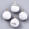 Natural Howlite Charms X-G-N332-024G-18-1