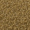 MIYUKI Delica Beads X-SEED-J020-DB0771-3