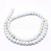 Natural Magnesite Beads Strands TURQ-G148-09-6mm-2