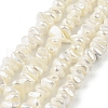 Electroplated Shell Pearl Beads Strands BSHE-M036-01A-1
