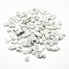 Natural Howlite Beads X-G-Q947-23-1