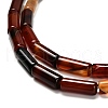 Dyed Natural Agate Beads Strands G-G203-01B-4