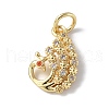 Brass Micro Pave Cubic Zirconia Charms ZIRC-F131-20G-1