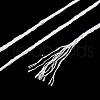 10 Skeins 12-Ply Metallic Polyester Embroidery Floss OCOR-Q057-A19-3