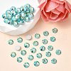 Preciosa® MAXIMA Crystal No Hotfix Flatback Stones Y-PRC-NSS6-50005-200-2
