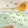 Preciosa® MAXIMA Crystal Fancy Stones Y-PRC-FA6-80100-2
