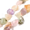 Natural Mixed Gemstone Beads Strands G-S386-C02-2