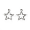 Tarnish Resistant 304 Stainless Steel Pendants STAS-F192-027P-2