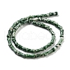 Natural Green Spot Jasper Beads Strands G-Q178-A15-01-3