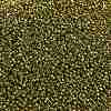 TOHO Round Seed Beads X-SEED-TR11-0991-2