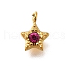 304 Stainless Steel Charms STAS-R159-58G-2