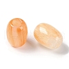 Resin European Beads RESI-F055-11F-2