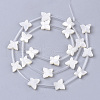 Natural White Shell Beads X-SSHEL-S264-070-2