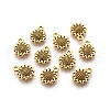 Tibetan Style Alloy Charms GLF10257Y-NF-1