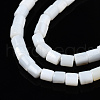 Natural Freshwater Shell Beads Strands SHEL-N034-29A-01-3