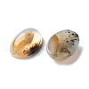 Natural Dendritic Agate Cabochons G-B138-02A-2
