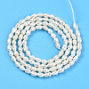 Natural Cultured Freshwater Pearl Beads Strands PEAR-N012-02Y-01-3
