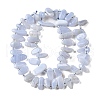 Natural Blue Lace Agate Beads Strands G-J403-03-2