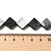 Natural Black Lip Shell Beads Strands BSHE-D300-09-4