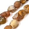 Natural Botswana Agate Beads Strands G-S386-C10-2