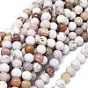 Natural Ocean Jasper Beads Strands G-O201A-15B-1