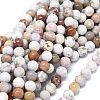 Natural Ocean Jasper Beads Strands G-O201A-15B-1