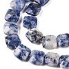 Natural Blue Spot Jasper Beads Strands G-T138-172-3