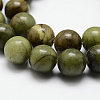 Natural Gemstone Beads Z0SRR015-4