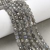 Natural Labradorite Beads Strands G-G213-4mm-03-4