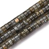 Natural Labradorite Beads Strands G-Z006-C52-2
