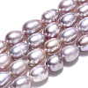 Natural Cultured Freshwater Pearl Beads Strands X1-PEAR-N012-04O-4