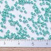 MIYUKI Delica Beads SEED-X0054-DB0166-3