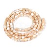 Natural Trochid Shell/Trochus Shell Beads Strands SSHEL-N040-12-2
