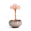 Undyed Natural Rose Quartz Chips Tree of Life Display Decorations TREE-PW0001-24A-1
