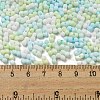 Macaron Color Opaque Frosted Glass Seed Beads X1-SEED-K009-12B-03-4
