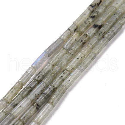 Natural Labradorite Beads Strands G-D464-08-1